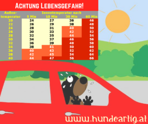 "Nur kurz was einkaufen" kann für Euren Hund tödlich enden. Hunde UND Kinder nie allein im Auto lassen! Auch geöffnete Fenster sind zuwenig, um der Hitzebelastung entgegenzuwirken!