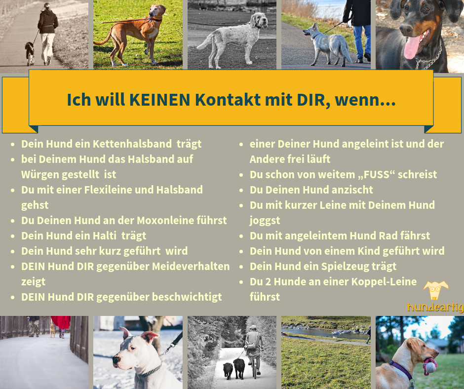 Warum ich DIR ausweiche Hundeartig