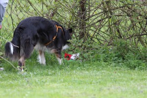 20140418-Gruppe-Ostern_176