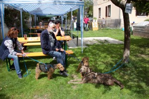 Hundefest 2015