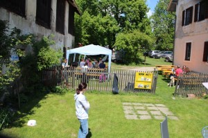 Hundefest-2016 - 29