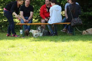 Hundefest-2016 - 35