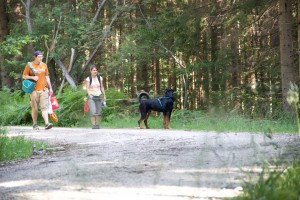 Trailen-OssiacherTauern_20150719 - 22 