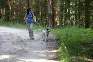 Trailen-OssiacherTauern_20150719 - 24 