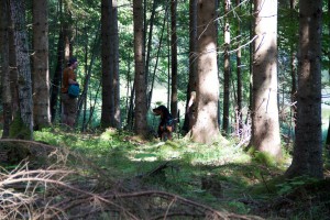 Trailen-OssiacherTauern_20150719 - 27 