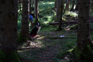 Trailen-OssiacherTauern_20150719 - 33 