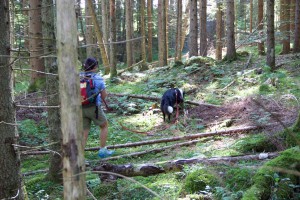 Trailen-OssiacherTauern_20150719 - 37 