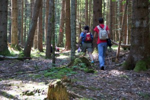 Trailen-OssiacherTauern_20150719 - 38 