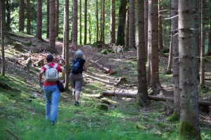 Trailen-OssiacherTauern_20150719 - 4