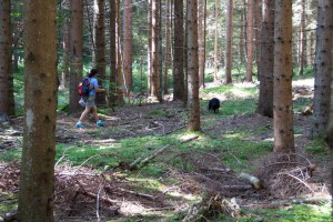 Trailen-OssiacherTauern_20150719 - 41 