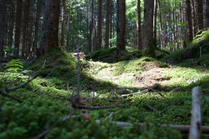 Trailen-OssiacherTauern_20150719 - 54 