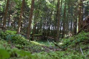 Trailen-OssiacherTauern_20150719 - 55 