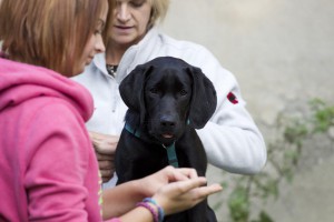 Welpenspiel-20140918-087