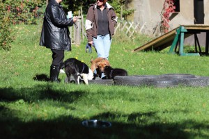 Welpenspiel-20131016-074