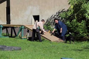 Welpenspiel-20131016-108