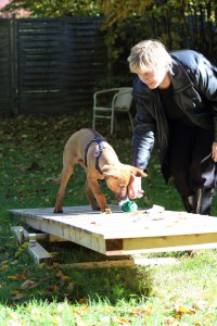 Welpenspiel-20131016-114