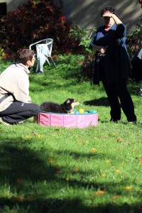 Welpenspiel-20131016-135