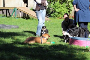 Welpenspiel-20131016-277